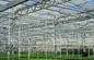 65%の園芸の温室の陰の網の布の陰スクリーンの温室の省エネ
