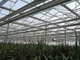 植物のアルミニウム陰の網の省エネの温室スクリーンのための55%扱われたSunblockの陰の布