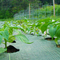 3mの菜園のための広い美化の産業等級の雑草のマット3x 50