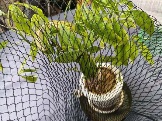 プールの反鷲のKoiの魚のいる池の網の保護は15ft x 20ftのHdpeをカバーする