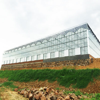 HDPEの生地の陰を得る95のWindbreakの緑の農業の陰