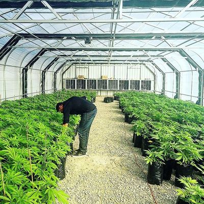 60%の屋外のテラスの菜園のためのプラスチックAgriの陰の網