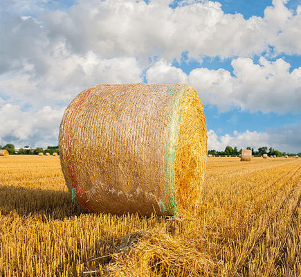 警告線との8.33GSMベール網の覆いのプラスチック反紫外線